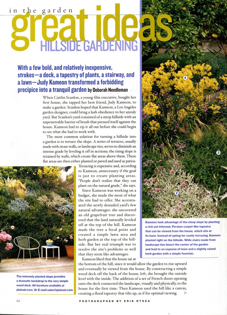 House & Garden_Great Ideas-Hillside Gardening